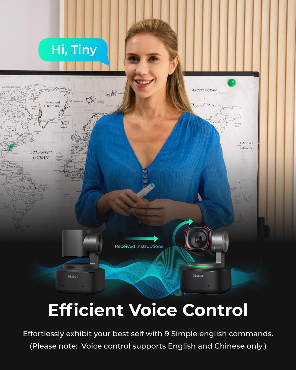 4K PTZ Webcam with Voice Control L52593