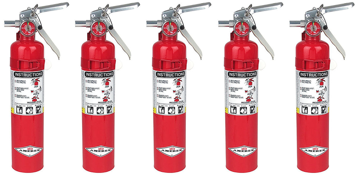 2.5lb ABC Dry Chemical Fire Extinguisher with Wall Bracket X5065
