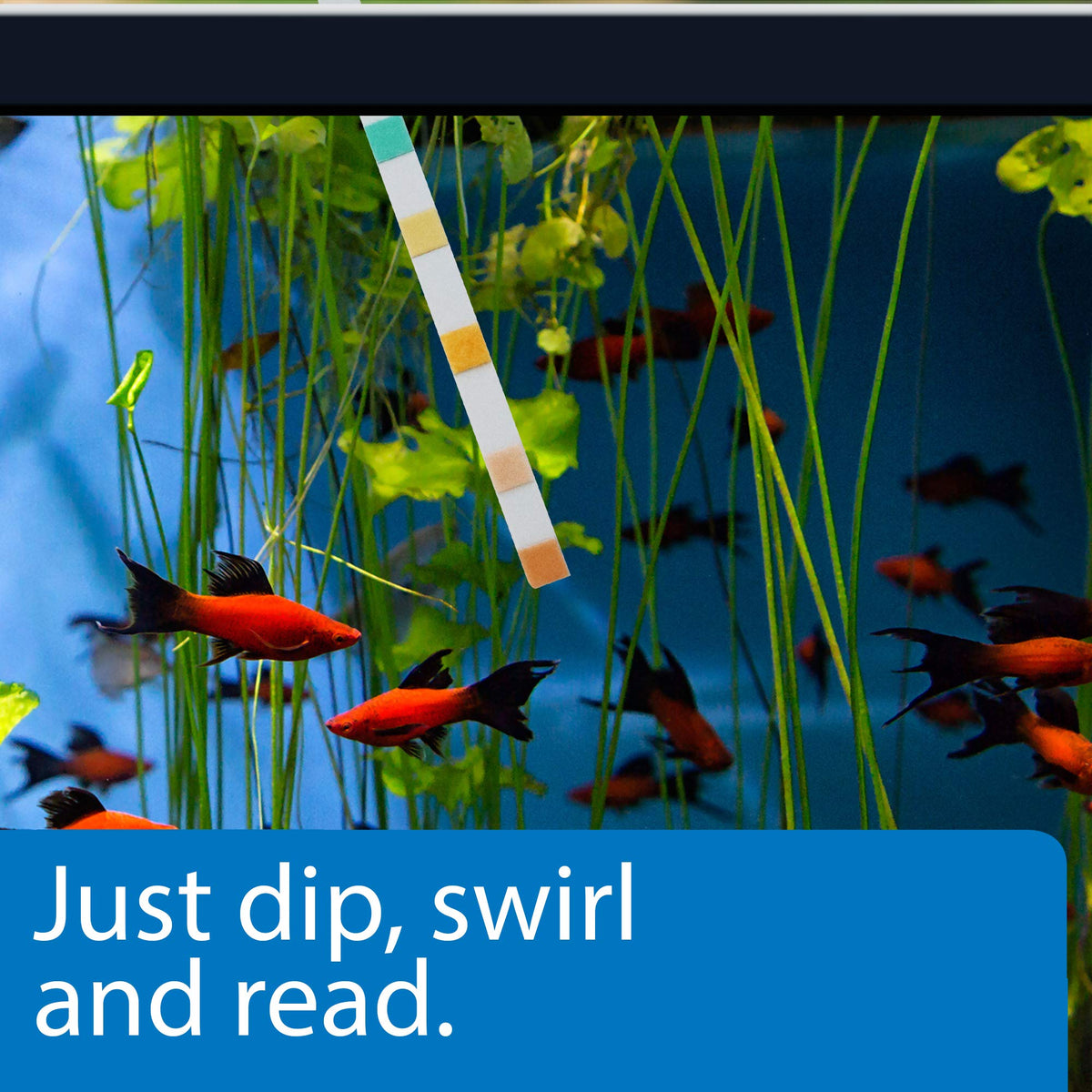 5-in-1 Aquarium Test Strips 4-Count H8044