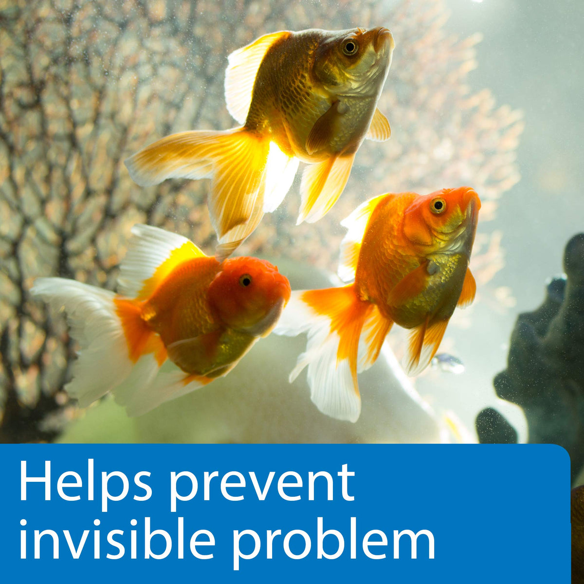 5-in-1 Aquarium Test Strips 4-Count H8044